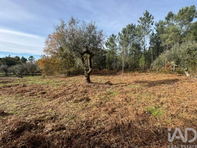 Moradia T2 para Venda em Pedrogão Pequeno Foto 26