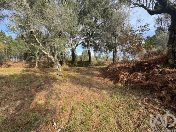 Moradia T2 para Venda em Pedrogão Pequeno Foto 37