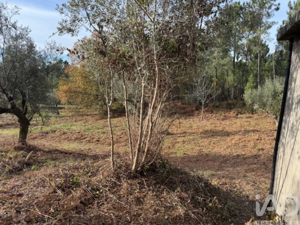 Moradia T2 para Venda em Pedrogão Pequeno Foto 31