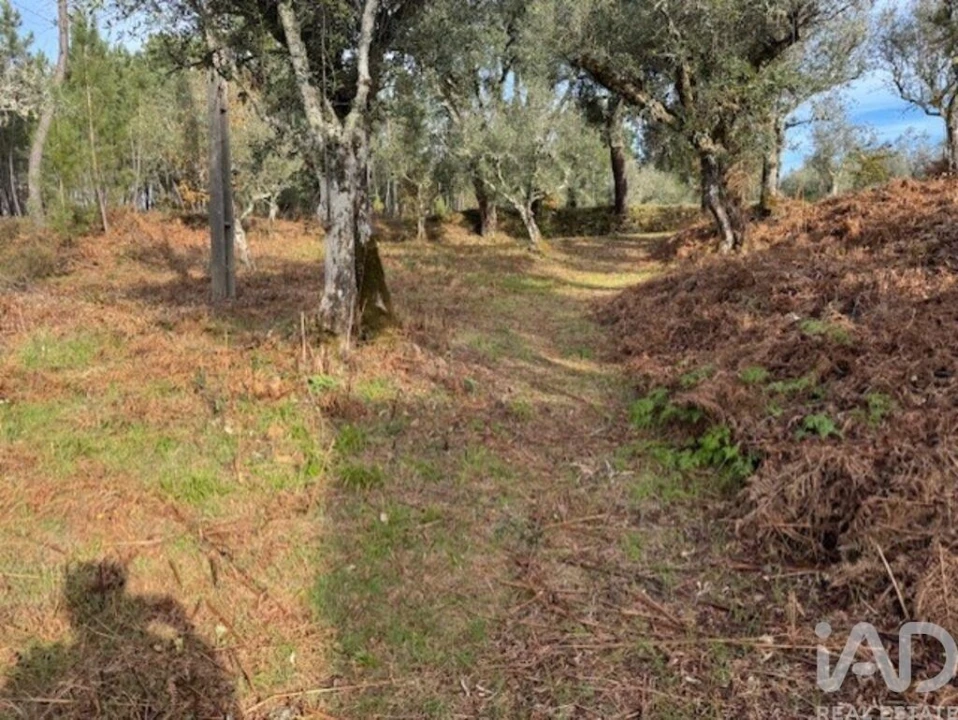 Moradia T2 para Venda em Pedrogão Pequeno Foto 36