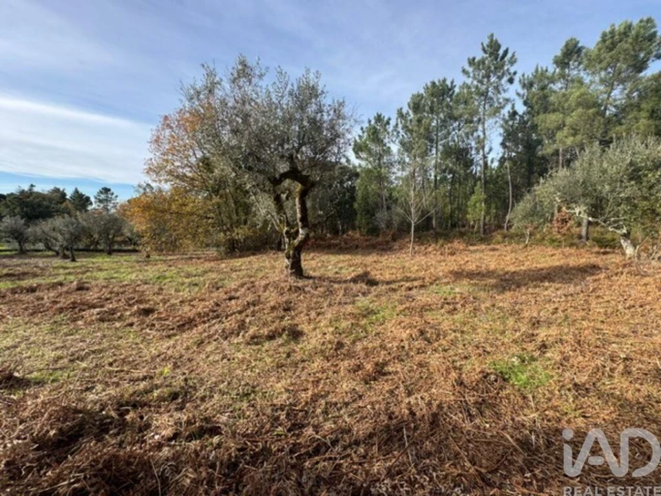 Moradia T2 para Venda em Pedrogão Pequeno Foto 26