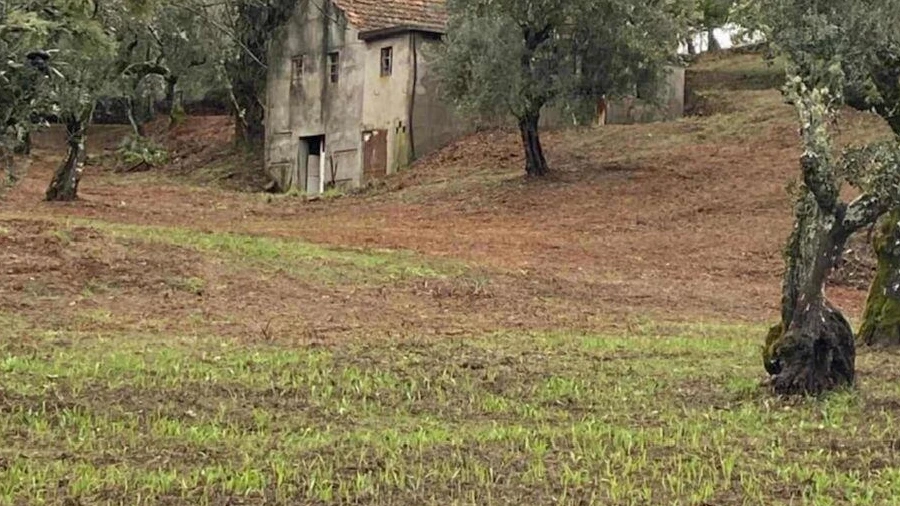 Moradia T2 para Venda em Pedrogão Pequeno