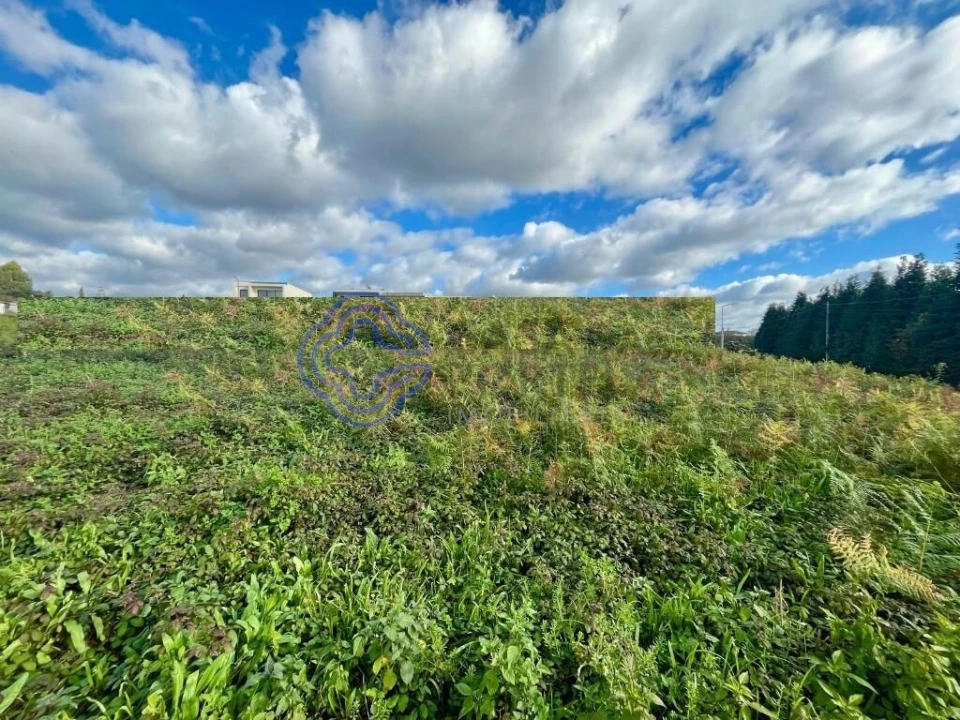 Terreno para Venda em Santa Maria da Feira, Travanca, Sanfins e Espargo Foto 13