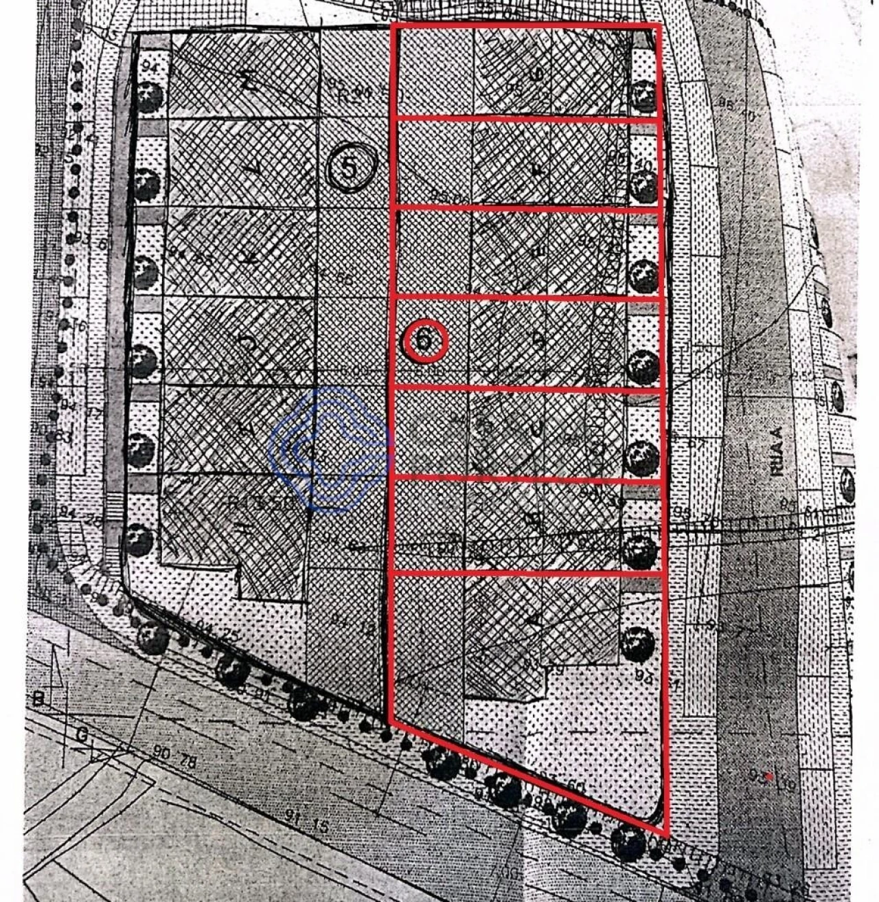 Terreno para Venda em Santa Maria da Feira, Travanca, Sanfins e Espargo Foto 16