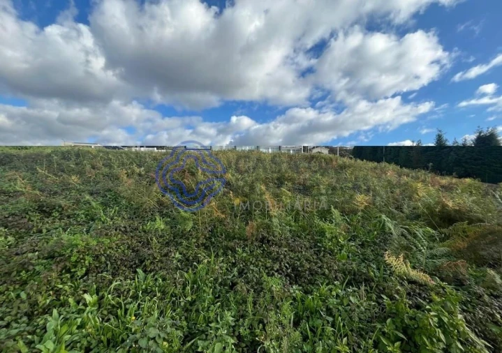 Terreno para Venda em Santa Maria da Feira, Travanca, Sanfins e Espargo Foto 9