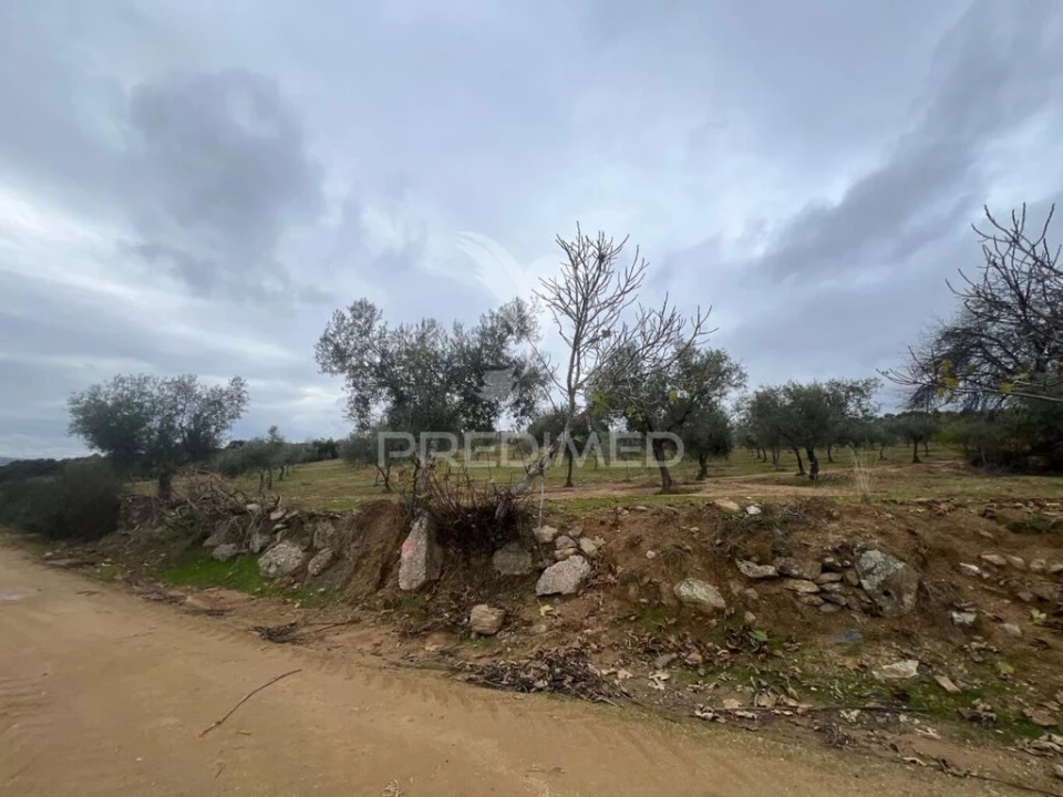 Terreno para Venda em Morais Foto 4