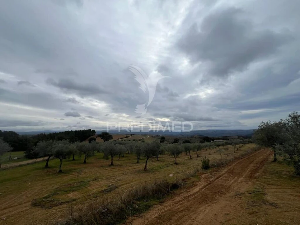 Terreno para Venda em Morais Foto 6