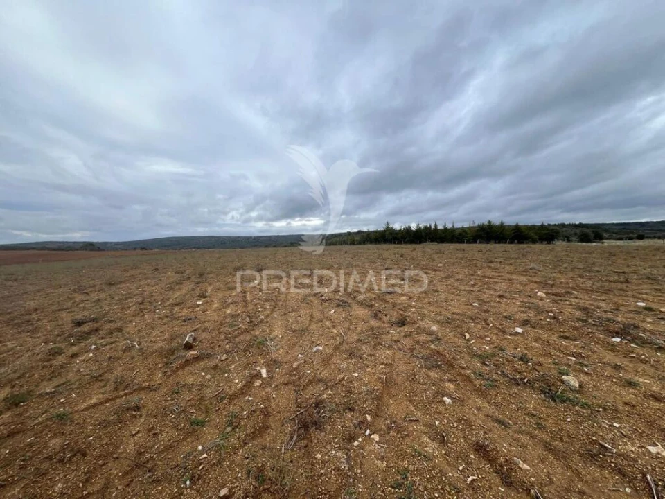 Terreno para Venda em Morais Foto 13
