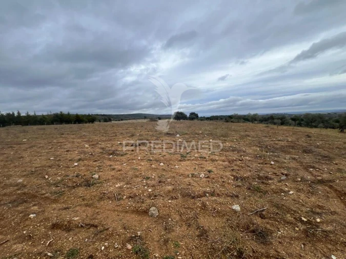 Terreno para Venda em Morais Foto 8