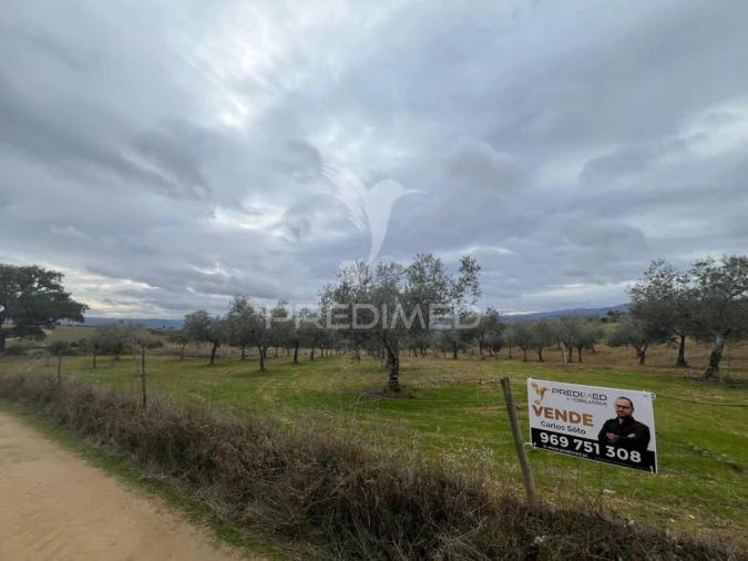 Terreno para Venda em Morais Foto 3