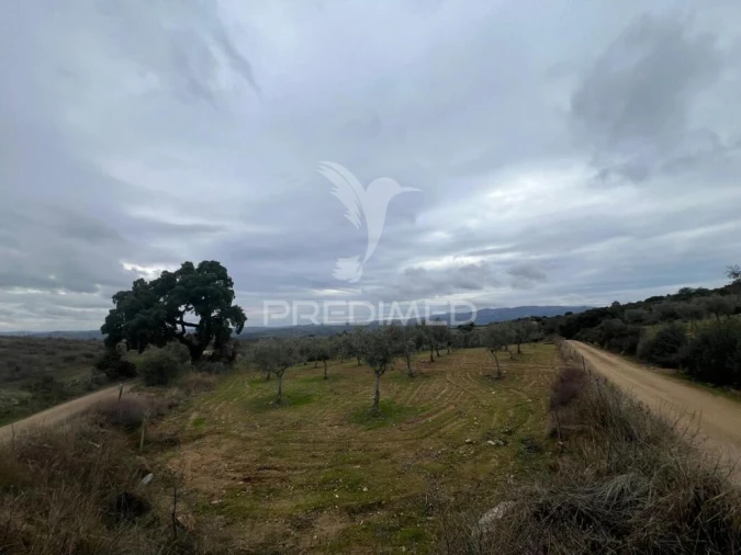 Terreno para Venda em Morais Foto 2