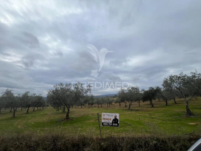 Terreno para Venda em Morais