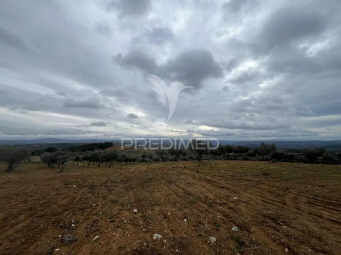 Terreno para Venda em Morais Foto 9