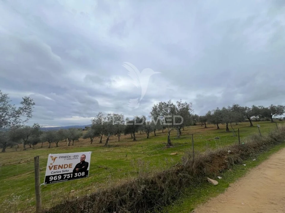 Terreno para Venda em Morais Foto 12