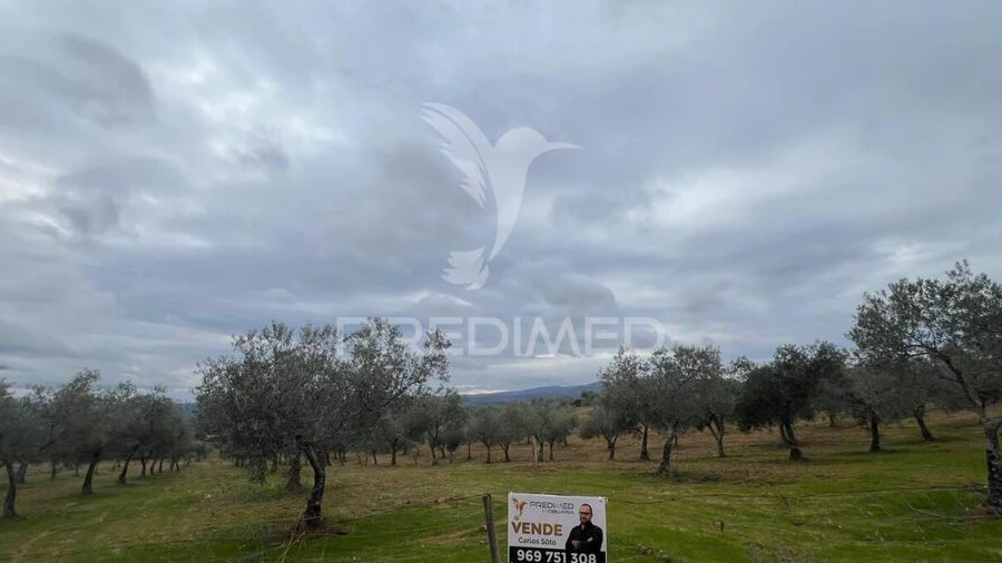 Terreno para Venda em Morais