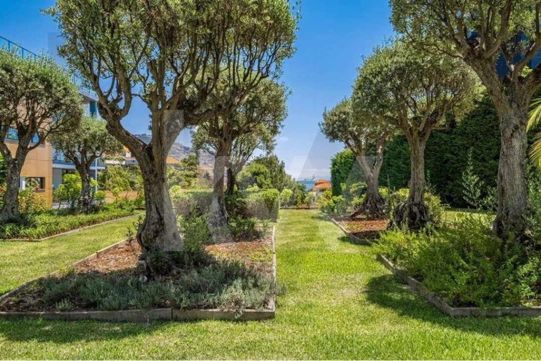 Apartamento T4 para Venda em Funchal (São Pedro) Foto 43