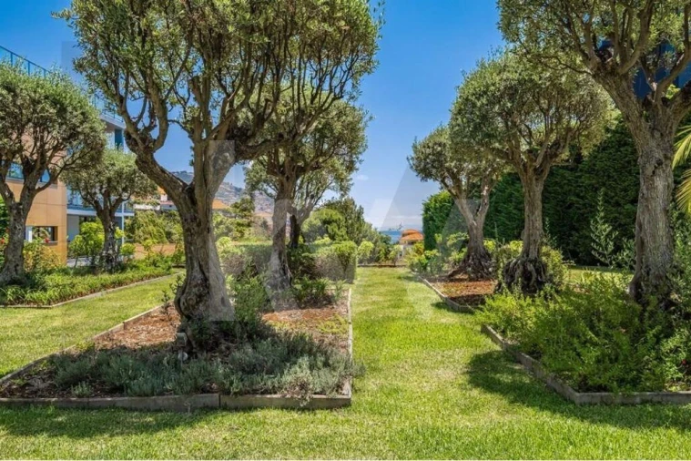 Apartamento T4 para Venda em Funchal (São Pedro) Foto 43