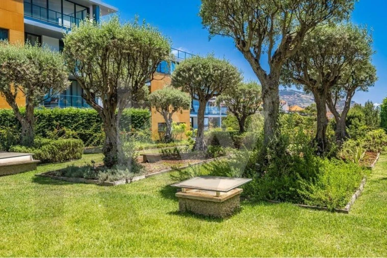 Apartamento T4 para Venda em Funchal (São Pedro) Foto 42