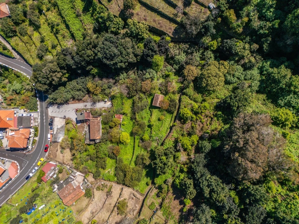 Terreno para Venda em Machico Foto 7