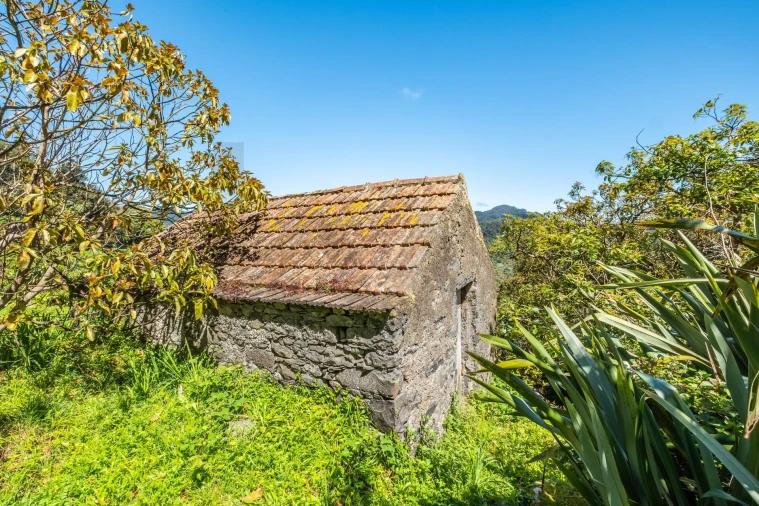 Terreno para Venda em Machico Foto 12