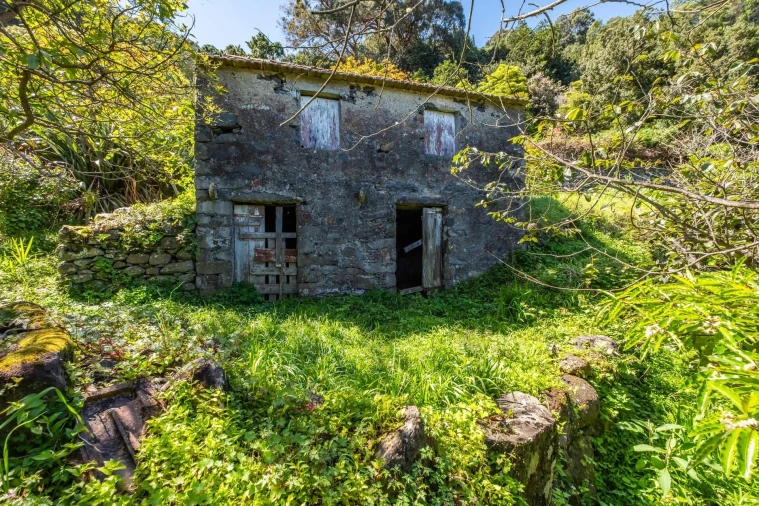 Terreno para Venda em Machico Foto 10