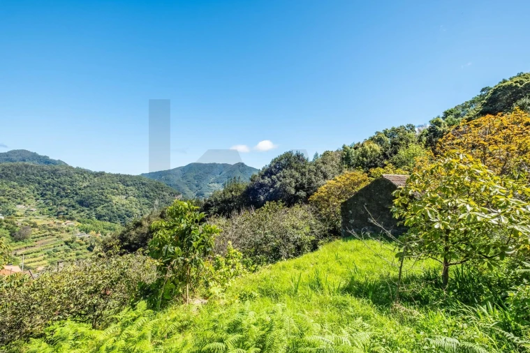 Terreno para Venda em Machico Foto 9