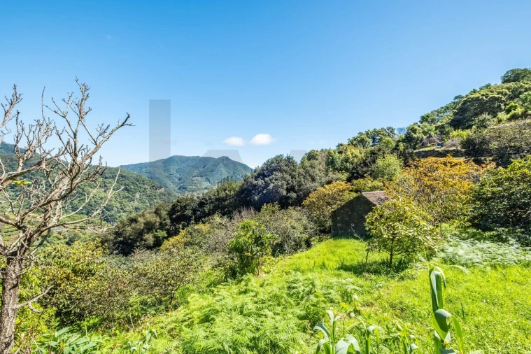 Terreno para Venda em Machico Foto 14