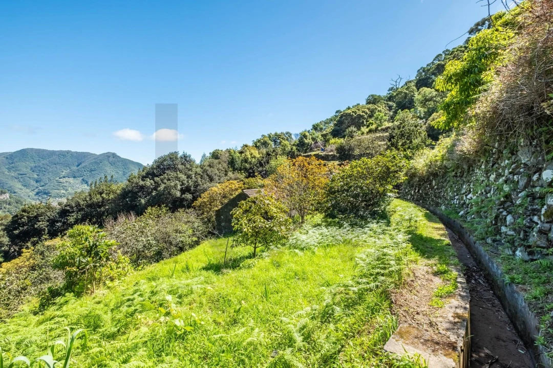 Terreno para Venda em Machico Foto 8