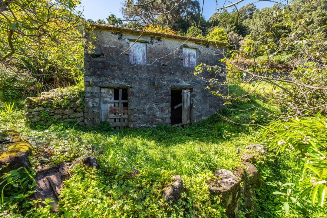 Terreno para Venda em Machico Foto 10