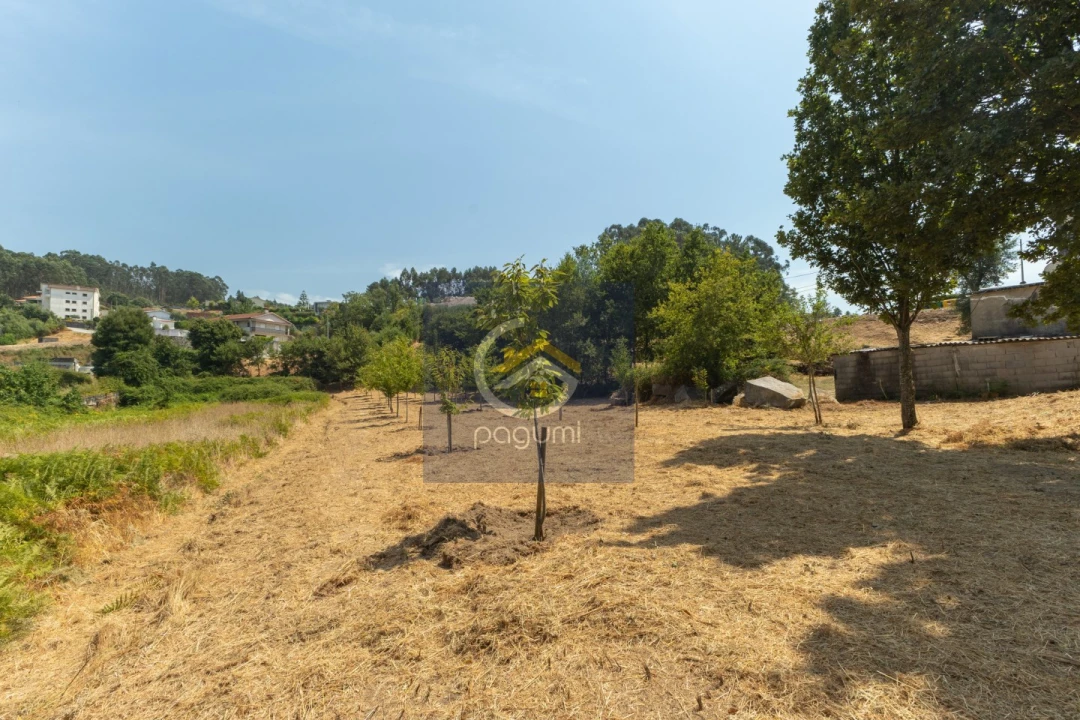 Terreno para Venda em Fonte Arcada Foto 8
