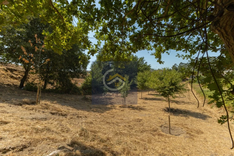 Terreno para Venda em Fonte Arcada Foto 4