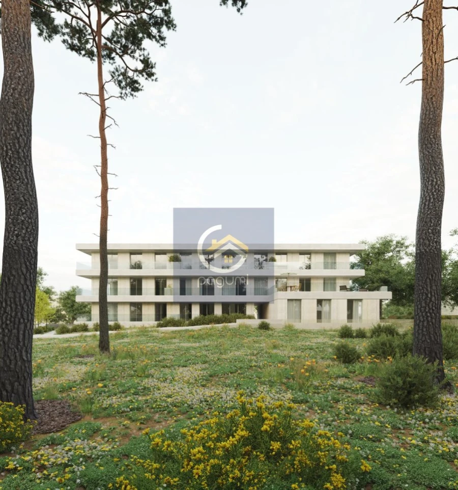 Terreno para Venda em Real, Ataíde e Oliveira Foto 2