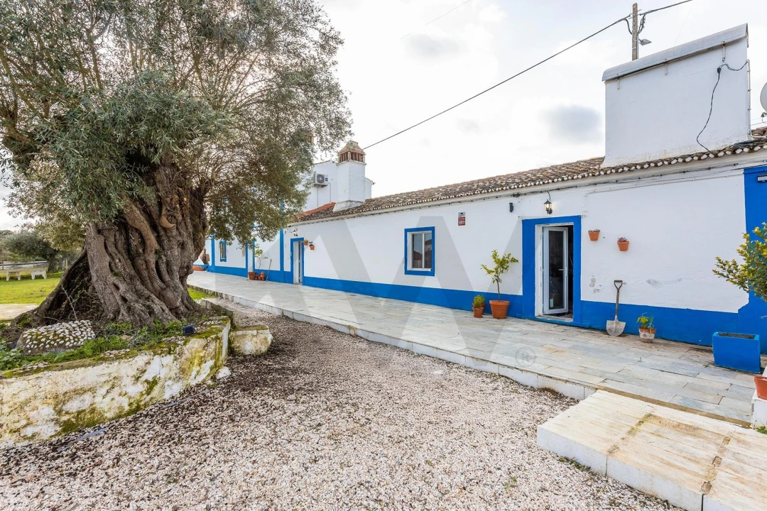 Quinta T5 para Venda em São Bento do Mato Foto 37