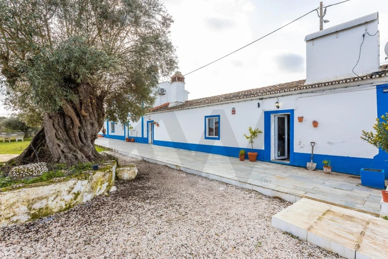 Quinta T5 para Venda em São Bento do Mato Foto 37