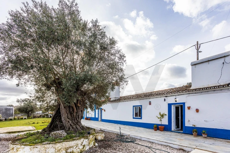 Quinta T5 para Venda em São Bento do Mato Foto 2