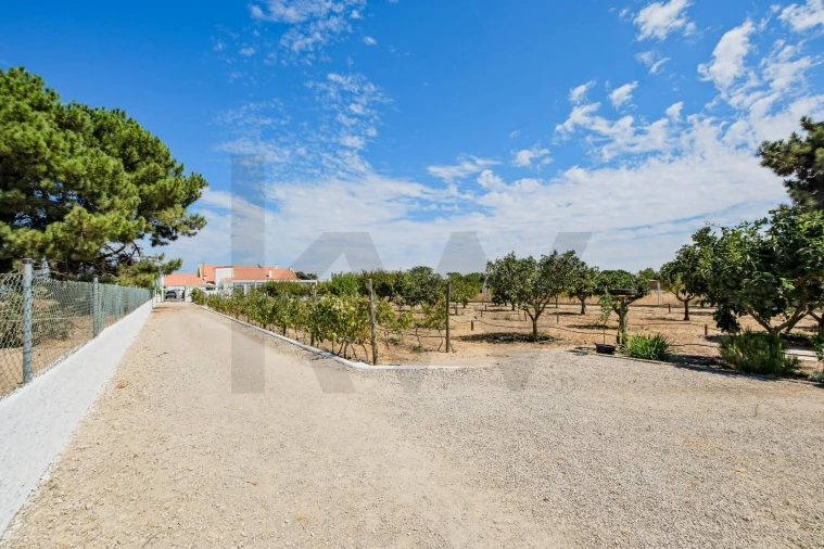 Quinta T4 para Venda em Montijo e Afonsoeiro Foto 35