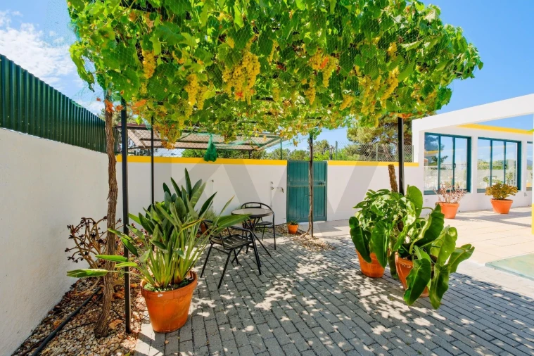 Quinta T4 para Venda em Montijo e Afonsoeiro Foto 7