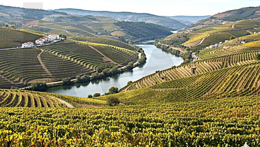 Moradia T3 para Venda em Aricera e Goujoim Foto 3