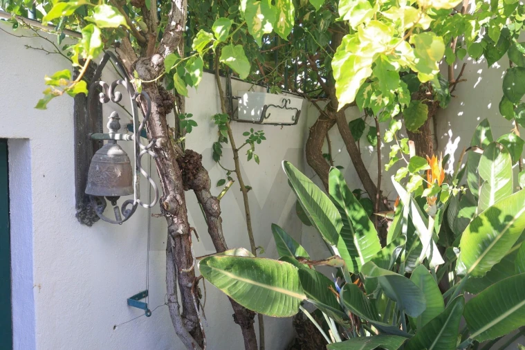 Moradia T3 para Venda em Alcantarilha e Pêra Foto 6