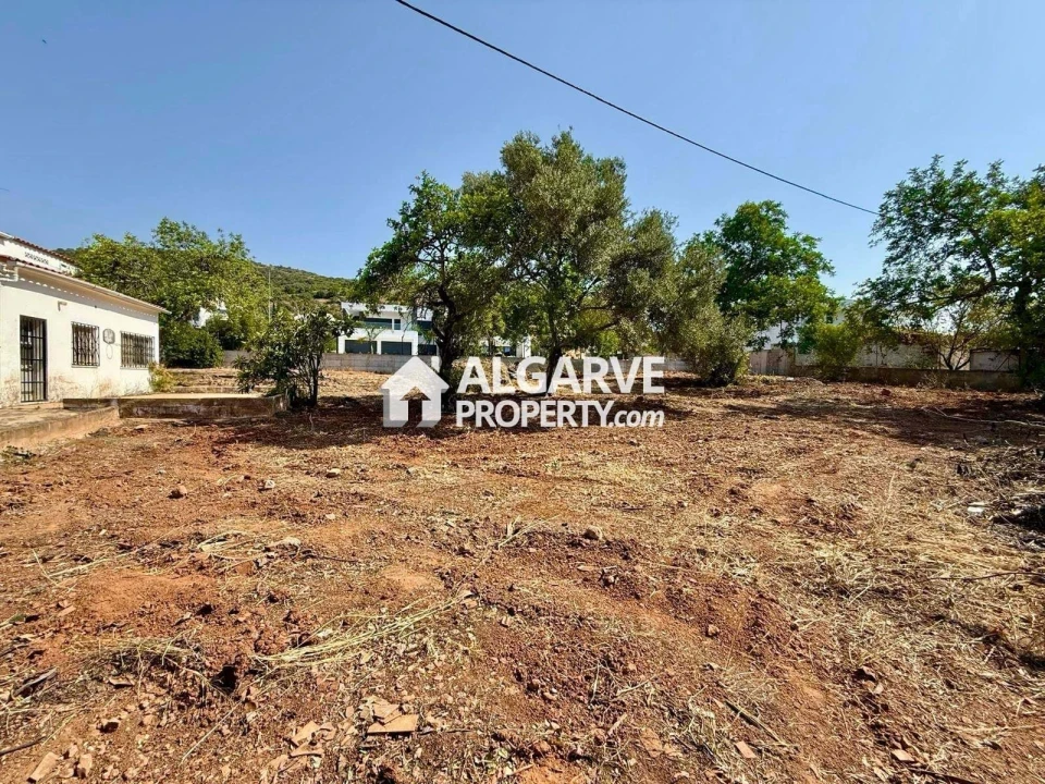 Terreno para Venda em Loule (São Sebastião) Foto 5