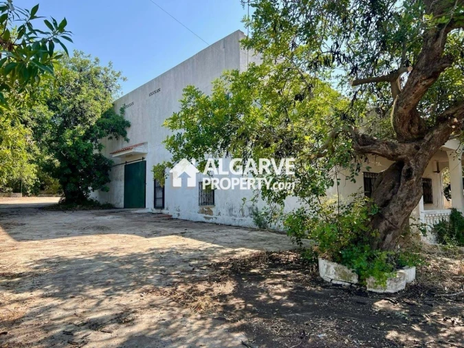 Terreno para Venda em Loule (São Sebastião) Foto 4