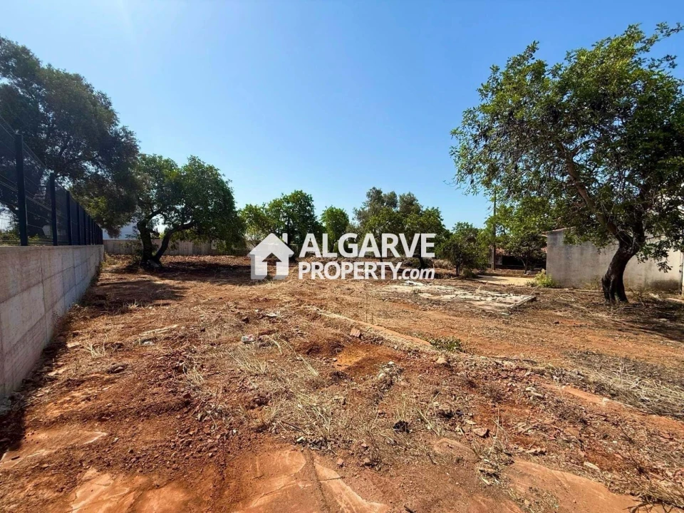 Terreno para Venda em Loule (São Sebastião) Foto 6