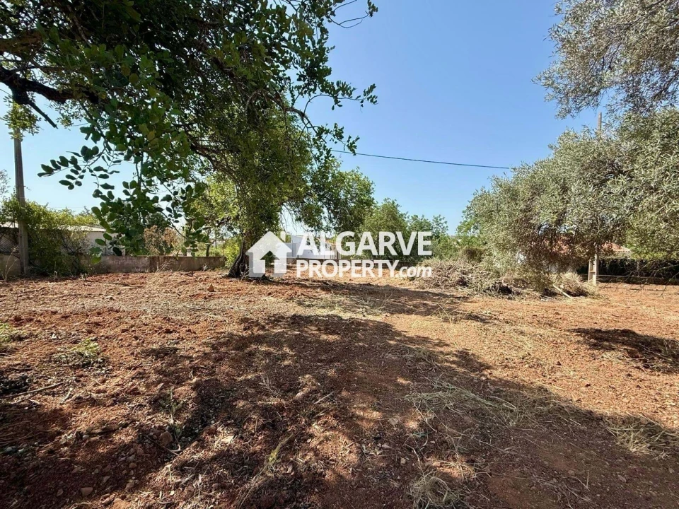 Terreno para Venda em Loule (São Sebastião) Foto 7
