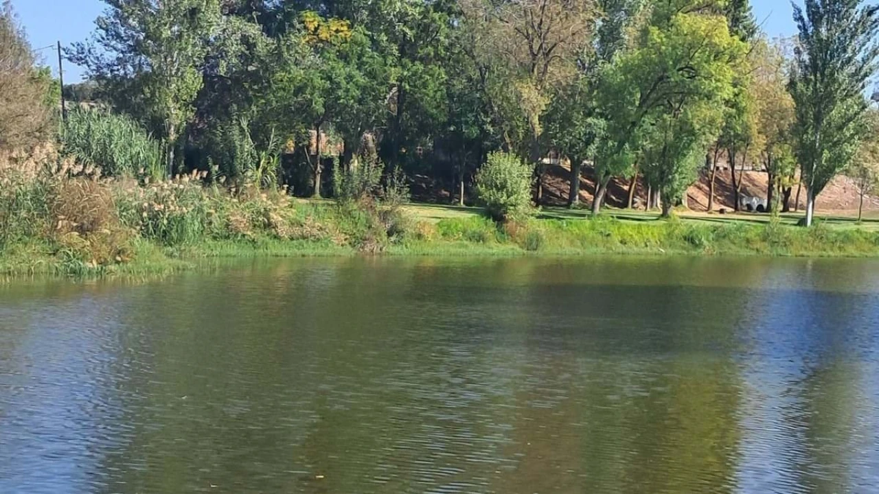 Apartamento T4 para Venda em Fronteira Foto 8