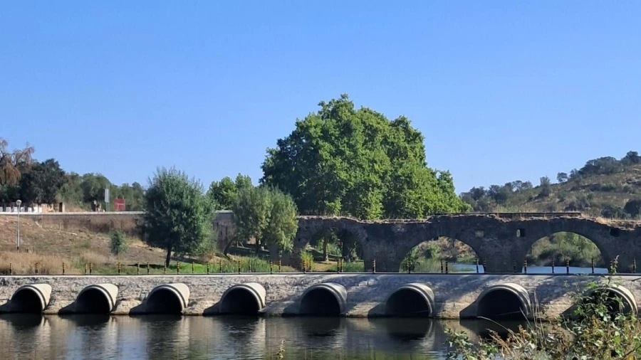 Apartamento T4 para Venda em Fronteira Foto 7