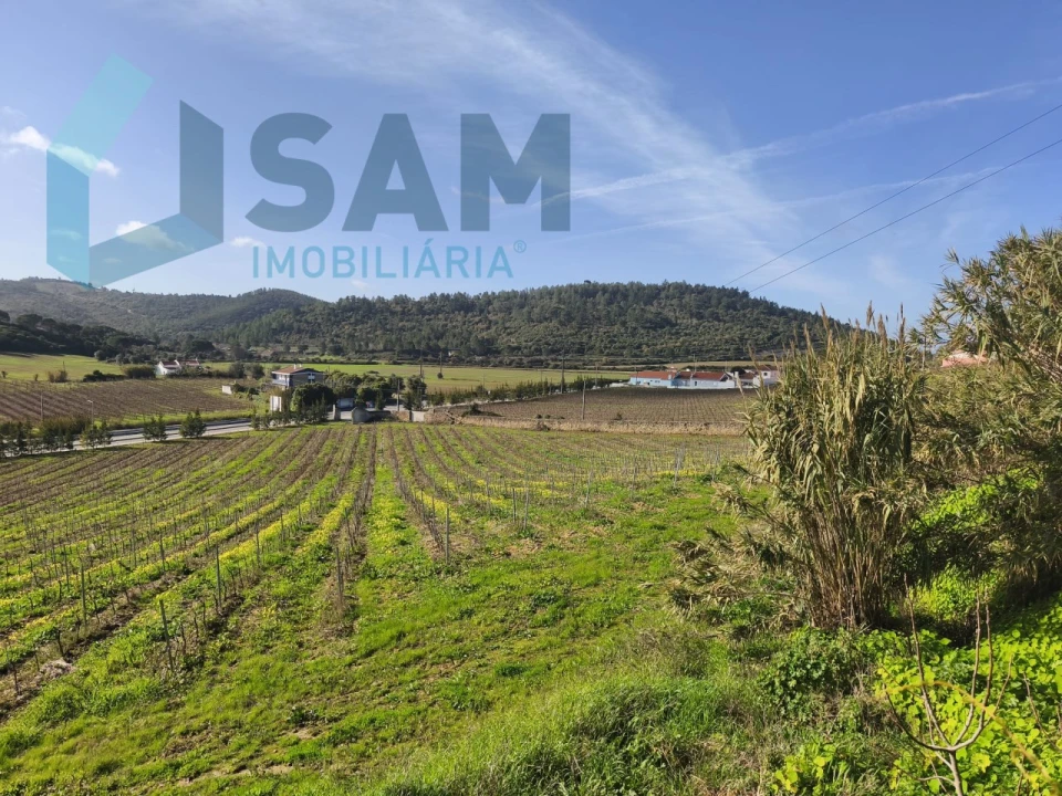Apartamento T1 para Venda em Santa Maria, São Pedro e Matacães Foto 21