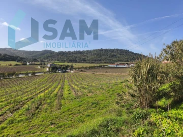 Apartamento T1 para Venda em Santa Maria, São Pedro e Matacães