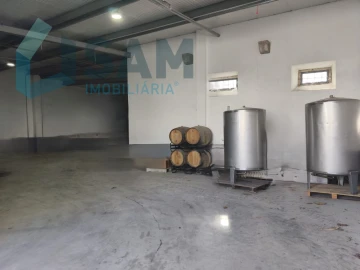 Apartamento T1 para Venda em Santa Maria, São Pedro e Matacães