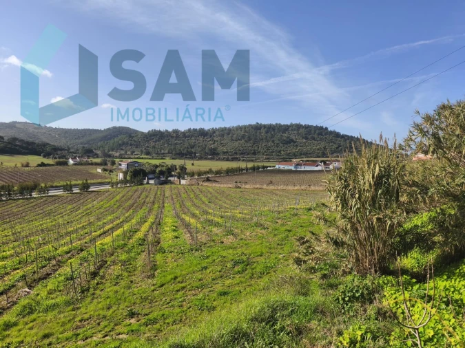 Apartamento T1 para Venda em Santa Maria, São Pedro e Matacães Foto 21