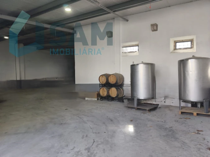 Apartamento T1 para Venda em Santa Maria, São Pedro e Matacães Foto 7